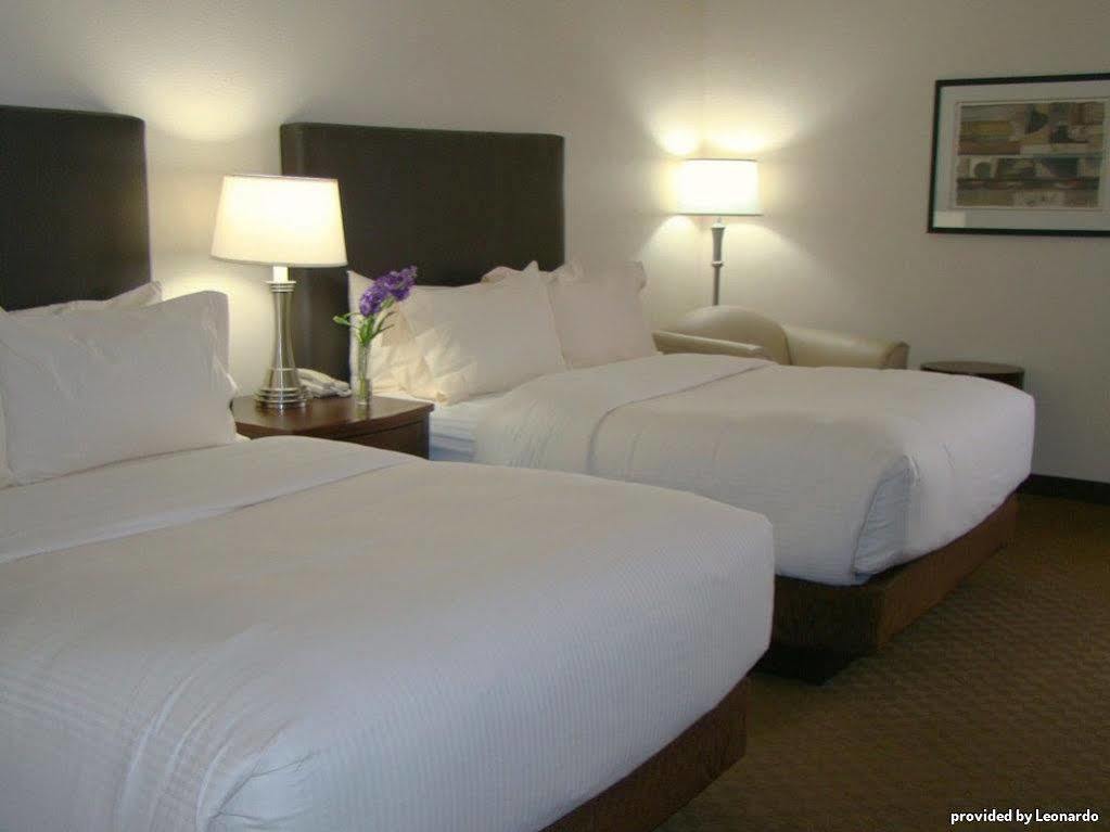 Best Western Plus Downtown Inn & Suites Houston Habitación foto